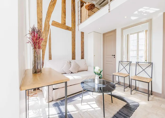 Apartment Charming - Marais - Mobility Lease Paris